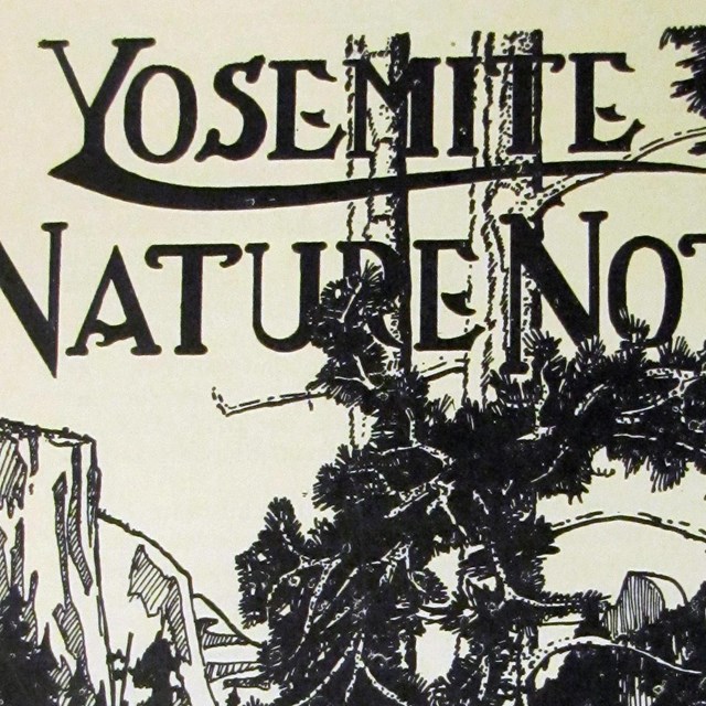 Yosemite Archives