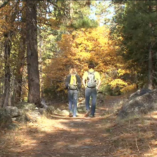Two hikers on a flat trail