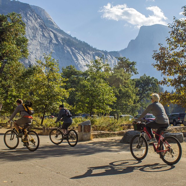 bicyclists on bike path in Yosemite Valley.