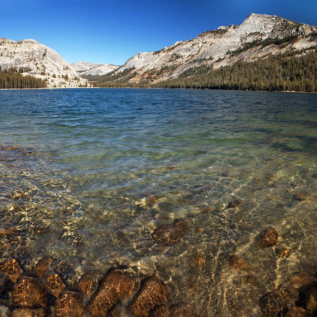 Tenaya Lake