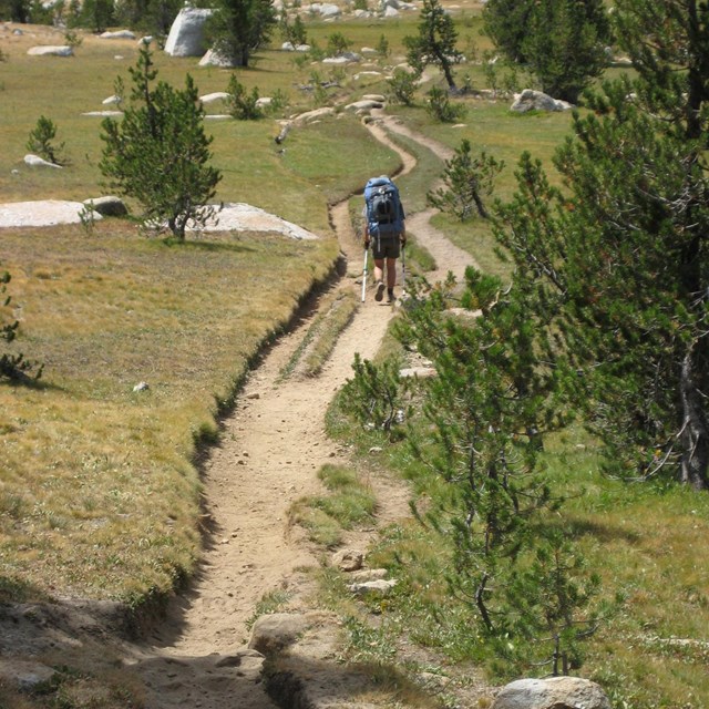 Backpacker hiking on a braided trail