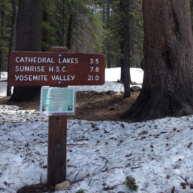 Wooden trailhead sign with snow on the ground