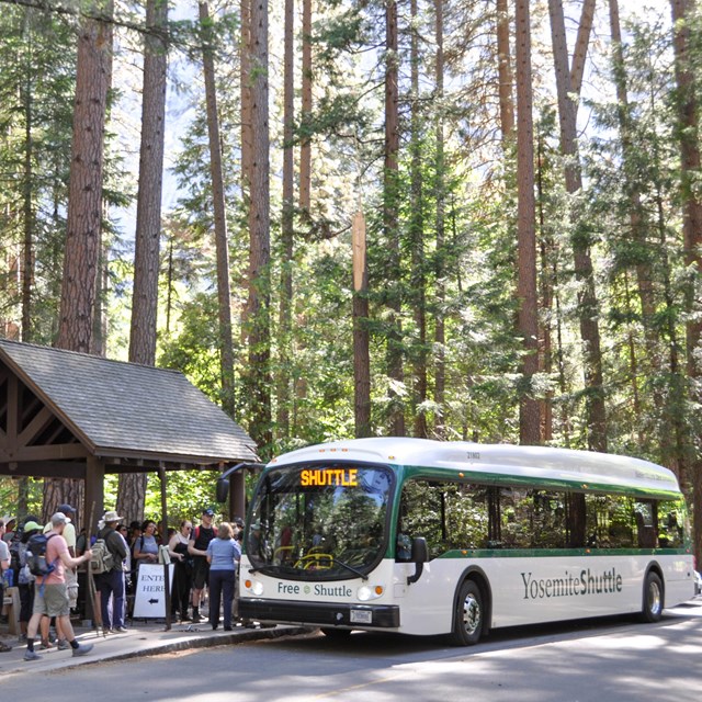 Visitors boarding a Yosemite shuttle at a shuttle stop