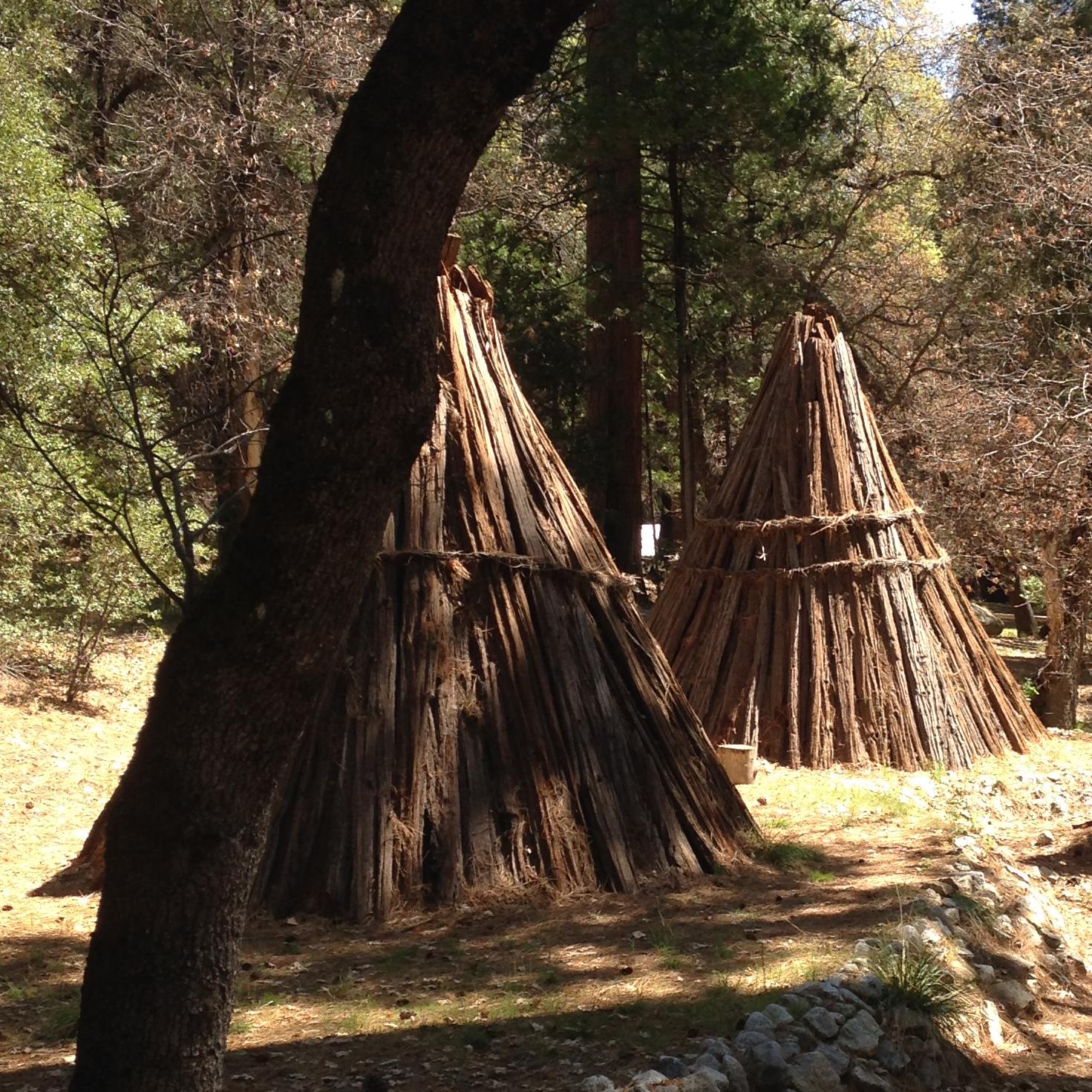 A picture of two umachas, traditional bark houses. 