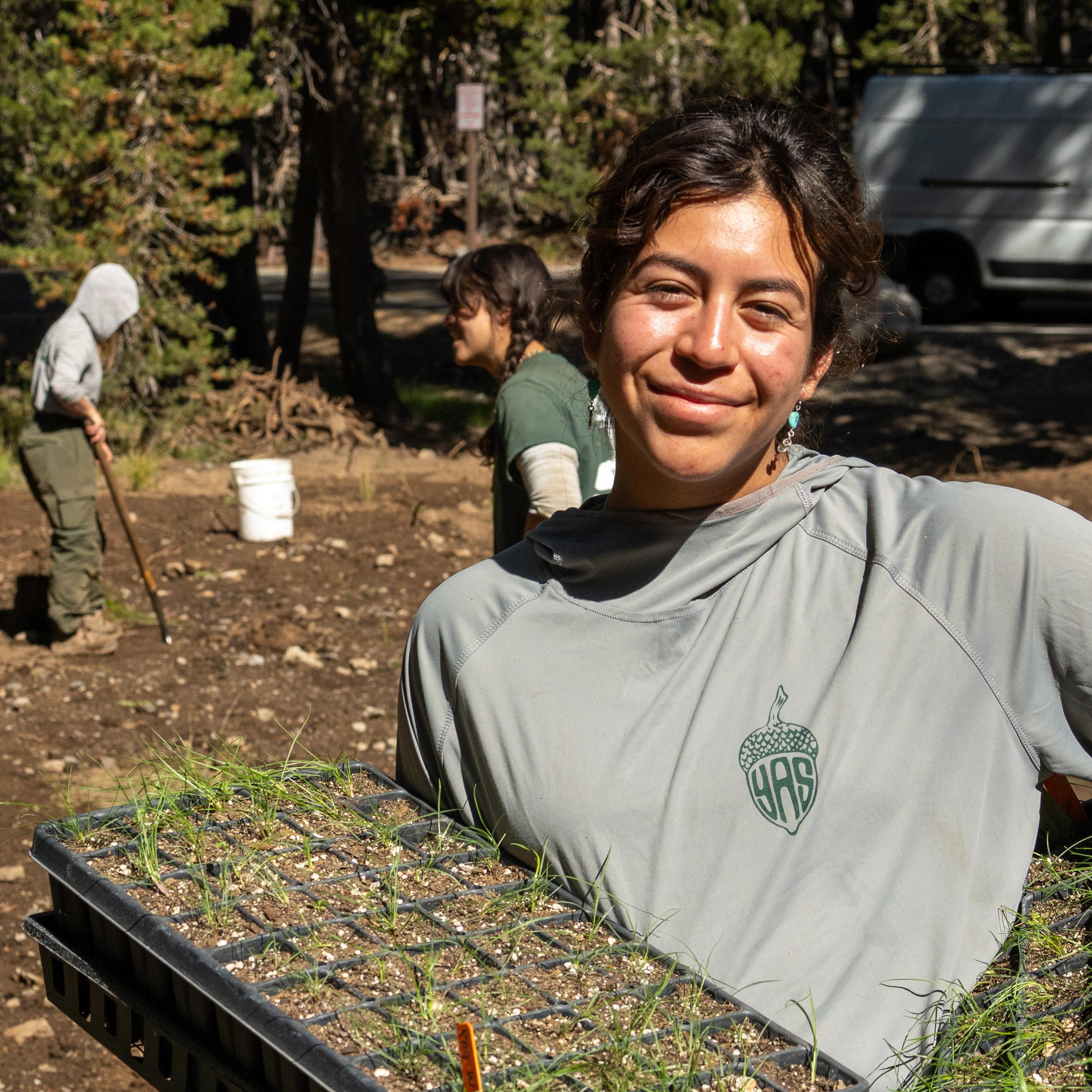 A young person holding two flats of saplings in front of a revegetation event.