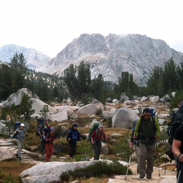 Multiple backpackers hiking on a trail