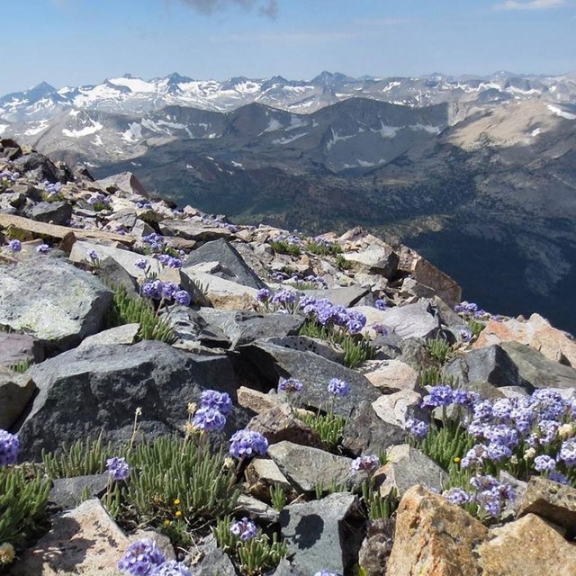 Wilderness Permit Reservations - Yosemite National Park (U.S. National Park  Service)