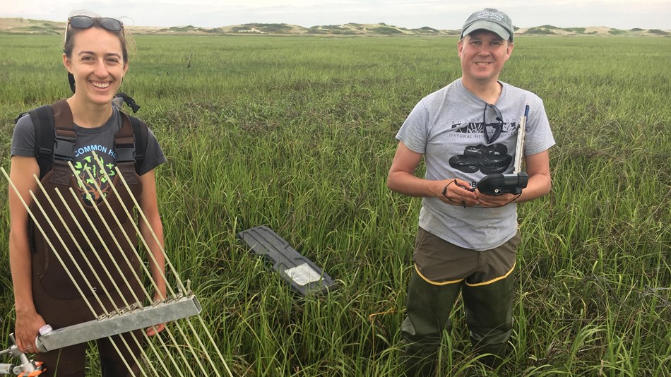 Interns work in a field of grass.