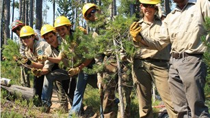 Youth Conservation Corps