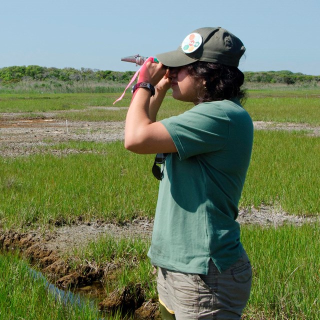 Scientist standing in a wetland field