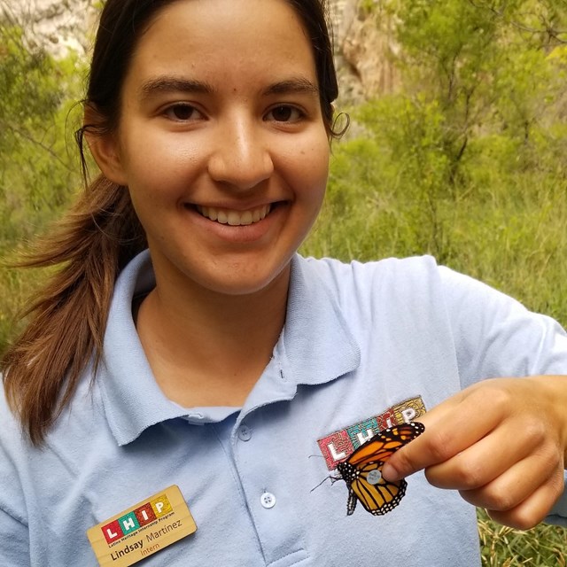 Intern holding a monarch butterfly pin