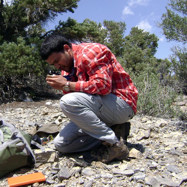 person examining rocks