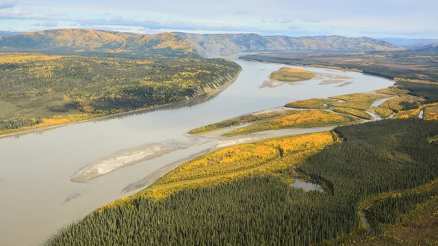 Aerial view of the Yukon River in fall colors