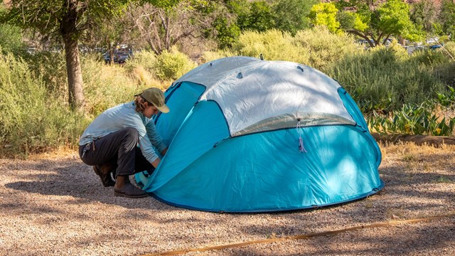 A bright blue tent sits in a campsite. Small trees and huge sandstone cliffs are visible.