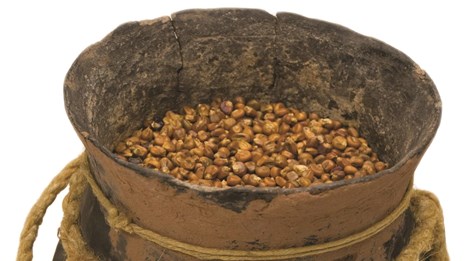 A historic pot filled with corn photographed inside the park museum building.