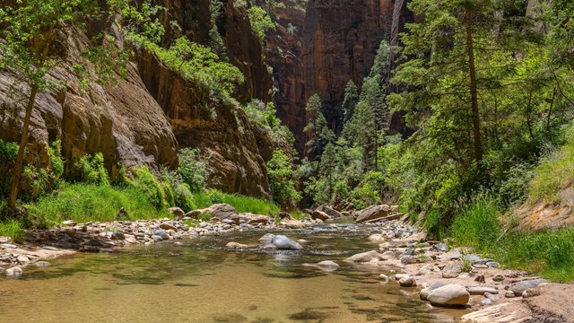 A shallow river flows across the rocky bottom of a narrow canyon.
