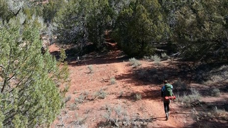 A hiker with backpack walking on a trail.