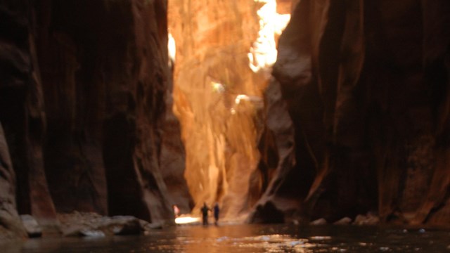 Tall slot canyon on the Virgin River