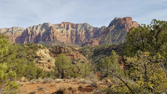 A sandstone peak behind desert vegetation.