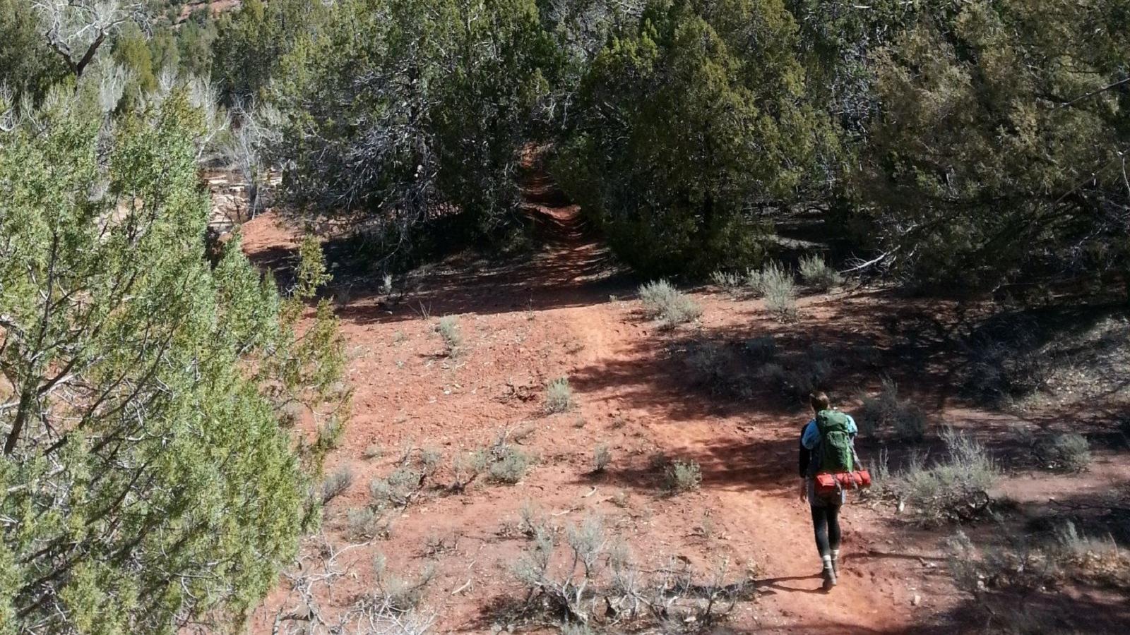 Zion clearance overnight hikes