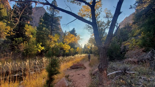 A hiker walks along a trail at sunset.