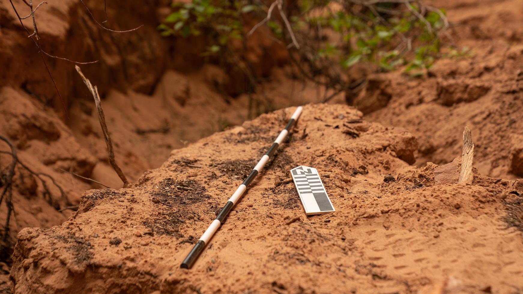 Archeological tools sit on red rock in Zion  Canyon