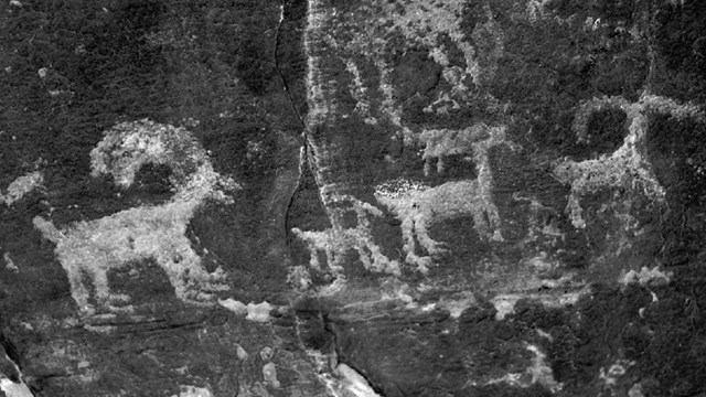 Petroglyphs of animals