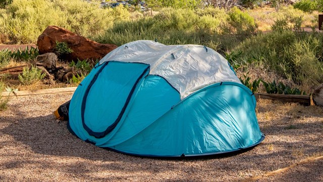 A bright blue tent sits in a campsite. Small trees and huge sandstone cliffs are visible.