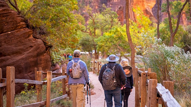 Hikers explore a trail in Zion, with red rocks and trees in the background.