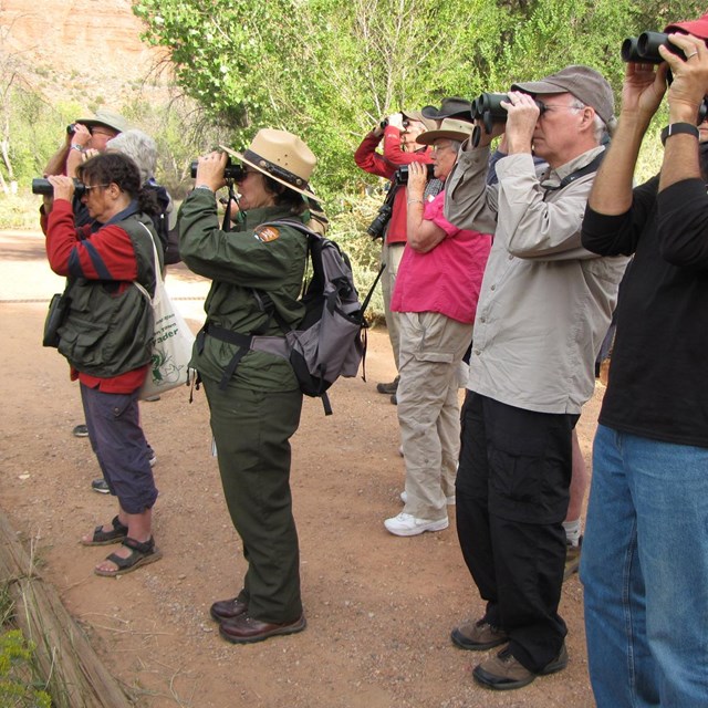 Ranger looks through binoculars with a group of visitors behind them also using binoculars.