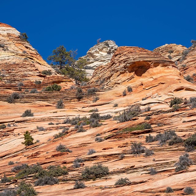 Red, orange, and white striped sandstone under a clear blue sky.