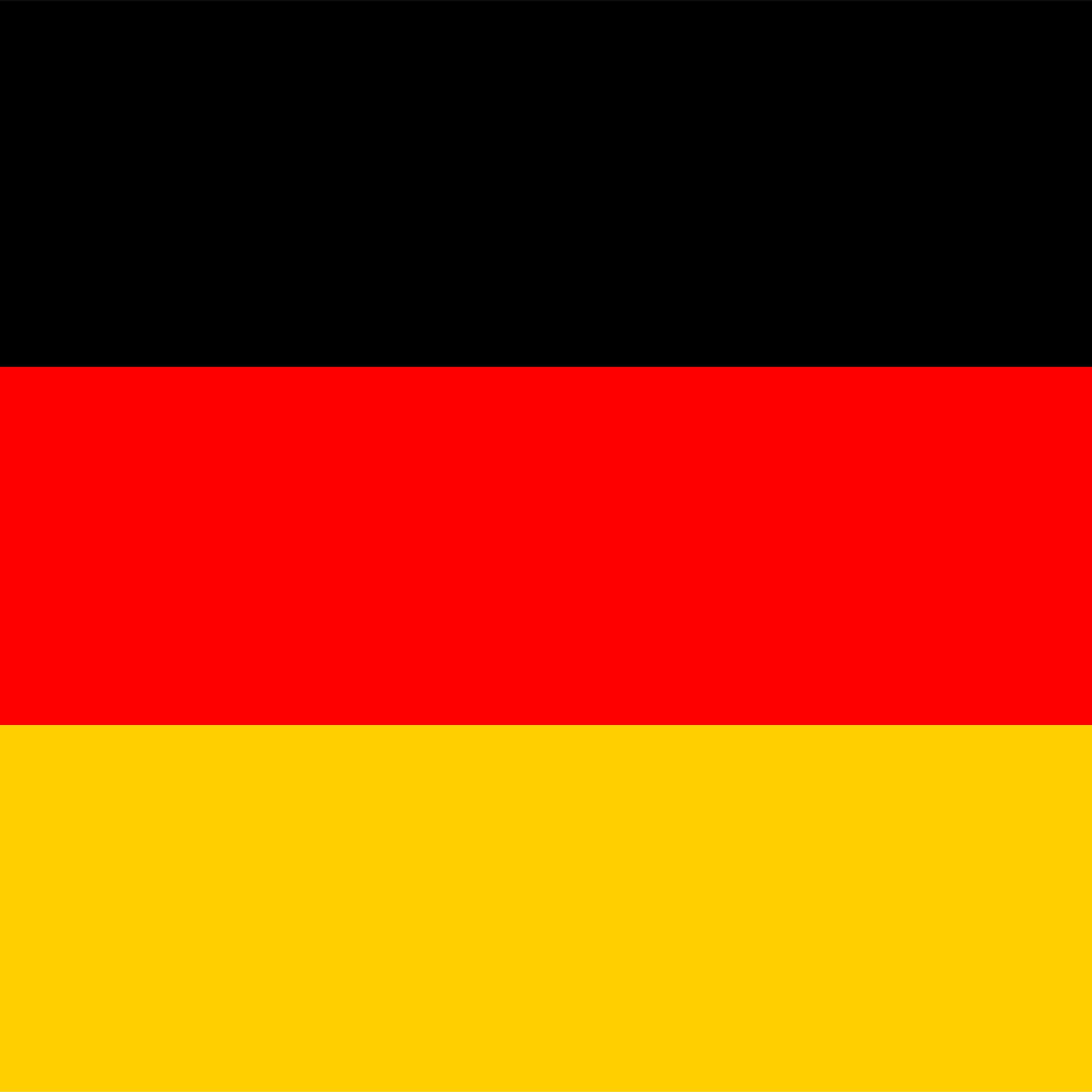 The German flag.