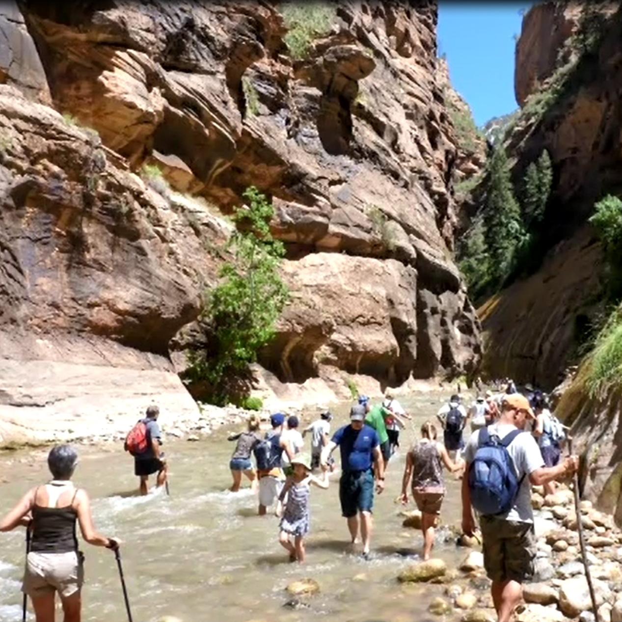 A large crowd of visitors wade through knee-deep water running between tall, narrow canyon walls.