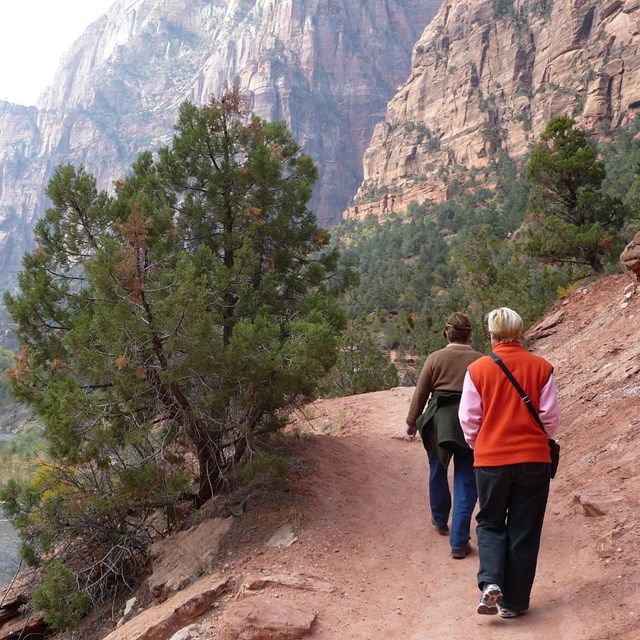 A visitor hikes up switchbacks. 