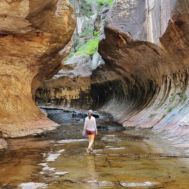 Person walking in water between curved rocks that look like a tunnel