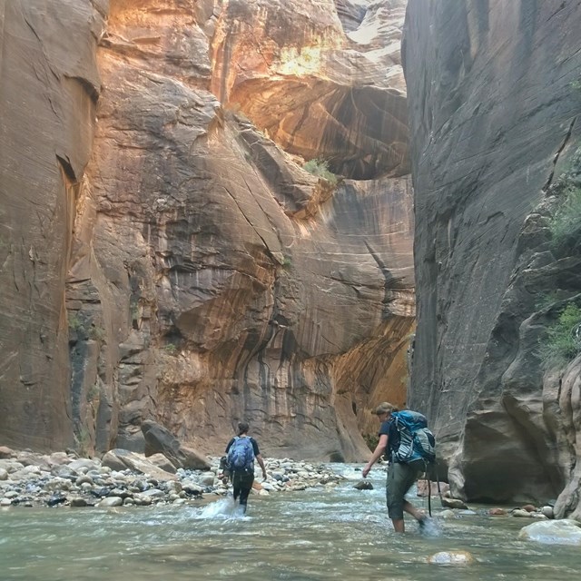 Hikers walk in water between tall, vertical masses of rock