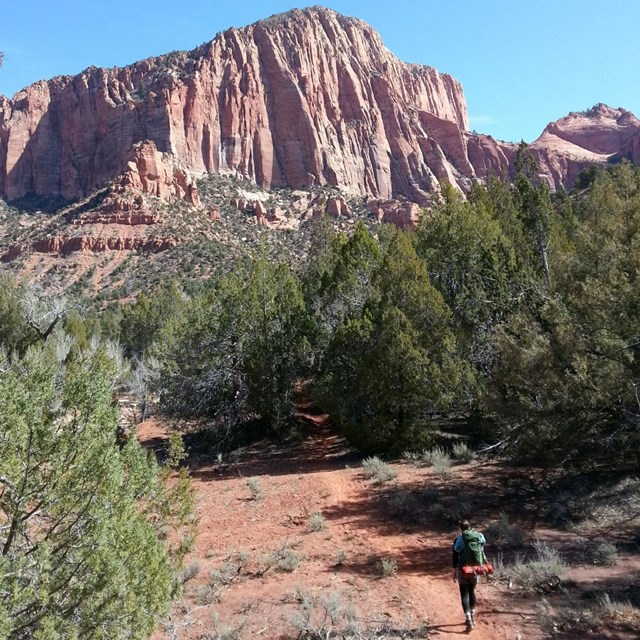 A hiker with backpack walking on a trail.