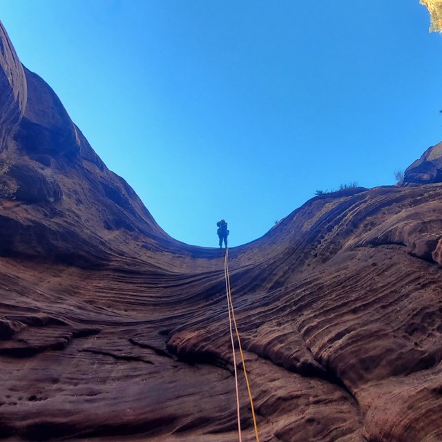 A canyoneer rappelling down a vertical wall with ropes, harnesses, and other safety equipment.