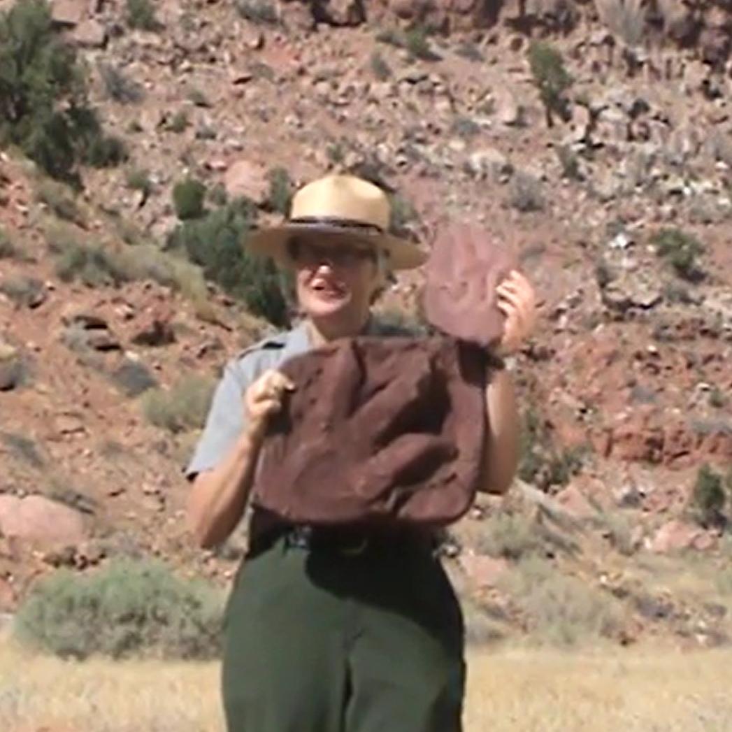 A ranger holds up two casts of prints left behind by three-toed dinosaurs.