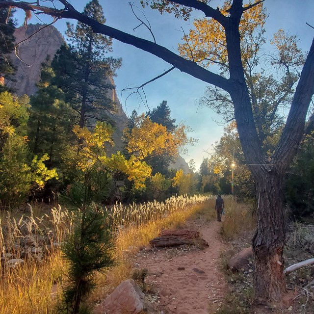 A hiker walks along a trail at sunset.