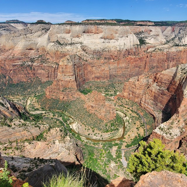 A winding canyon below a viewpoint.