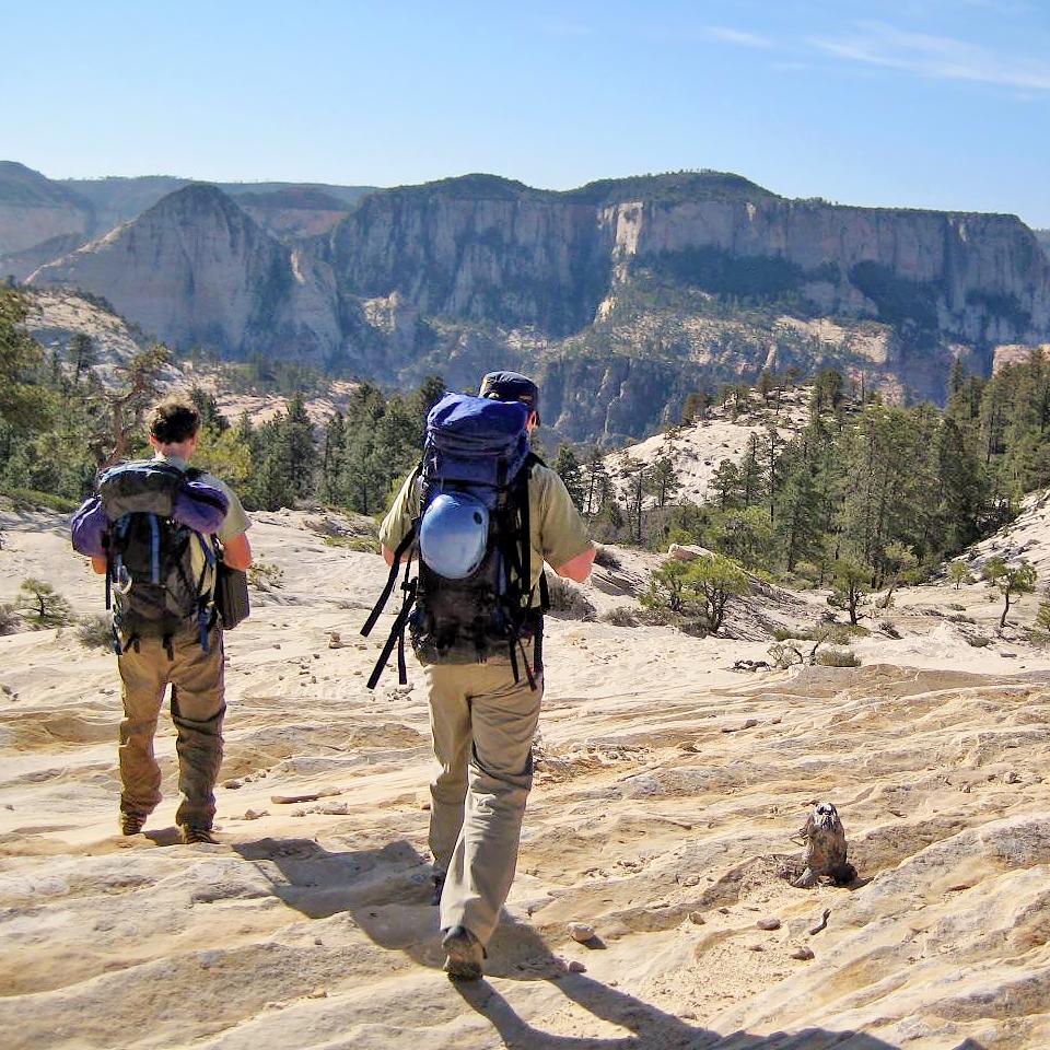 Two hikers walk across a wavy sandstone clearing. A canyon with many trees is in the background.