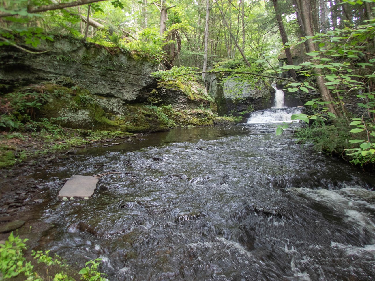 Creek descends a small waterfall, then rushes past a tall, moss-covered rock ledge.