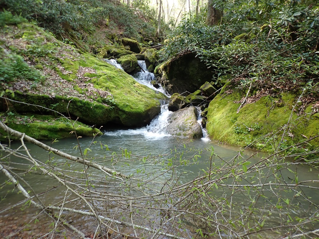 Stream tumbles down through a series of boulders into a calm pool.