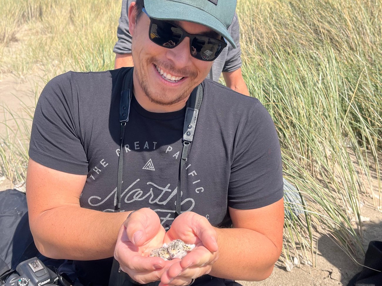 Lau in sunglasses and a baseball cap smiling at the two tiny plover chicks that he's holding cupped in his hands.