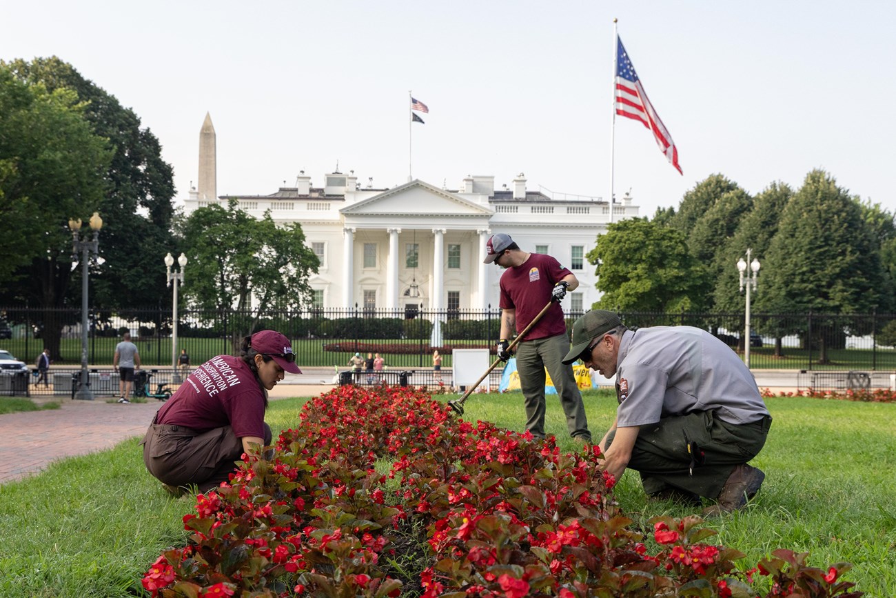 Traditional Trades Advancement Program interns Kendall Soriano, left, and Brenton Tate, center, work alongside National Park Service Chief of Maintenance Scott Sommers to remove weeds from flower beds in Lafayette Square, Tuesday, July 22, 2025.