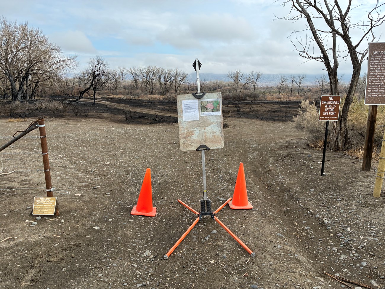 A road closure sign with orange cones on either side and the burned habitat area behind.