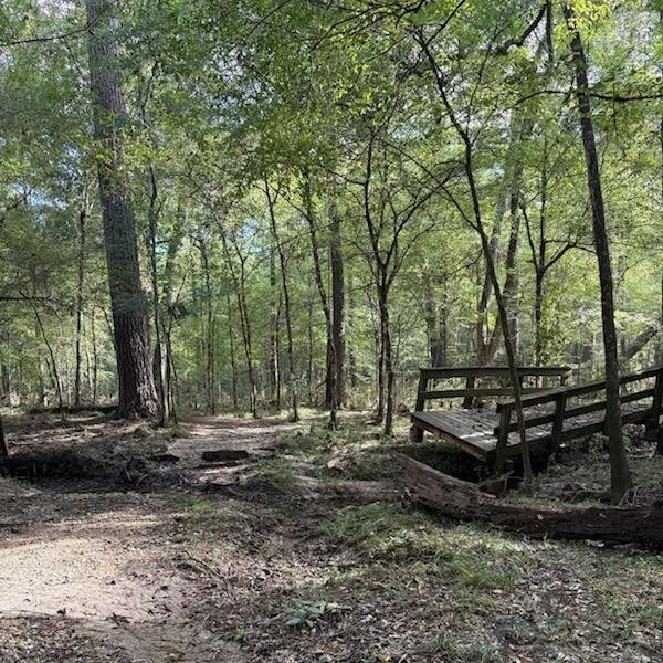 A wooden bridge that was lifted by floodwater and deposited in the woods next to a trail.