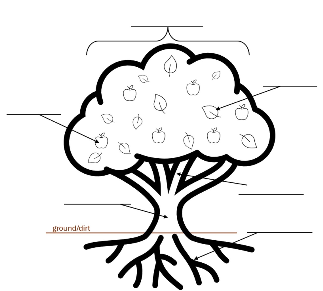 Blank tree diagram with roots, leaves, and fruits.