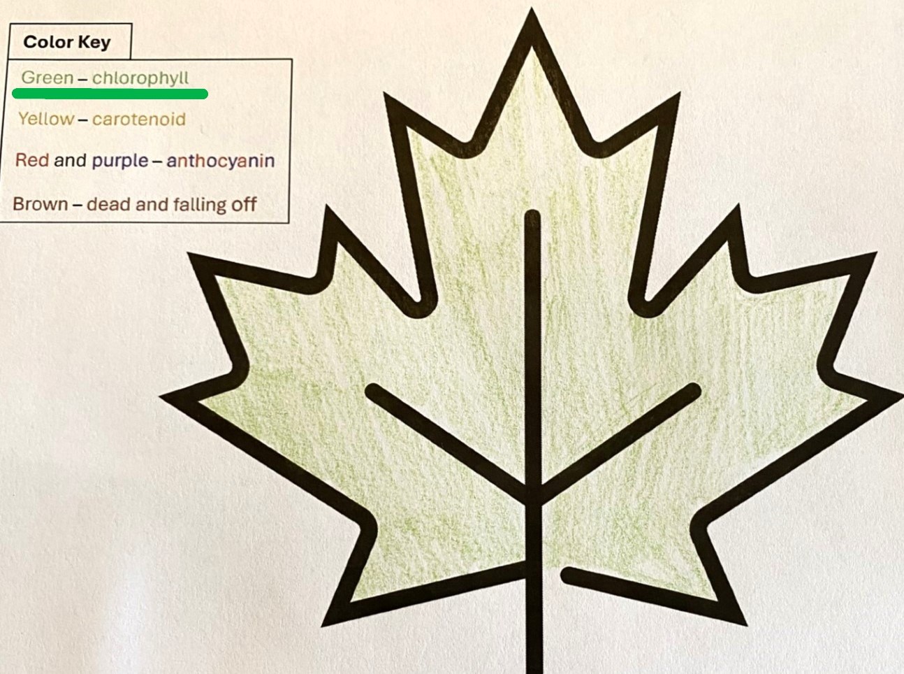 Leaf icon shaded green with color key with 